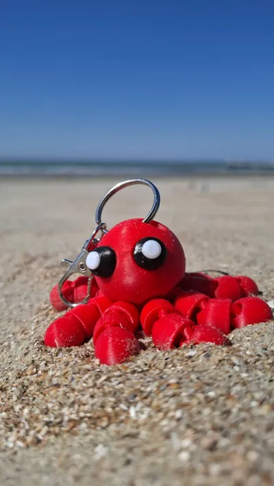 https://makerworld.bblmw.com/makerworld/model/1029890/1012486/ratings/c7011220-468b-11f0-af22-919e5dab22cb.jpg