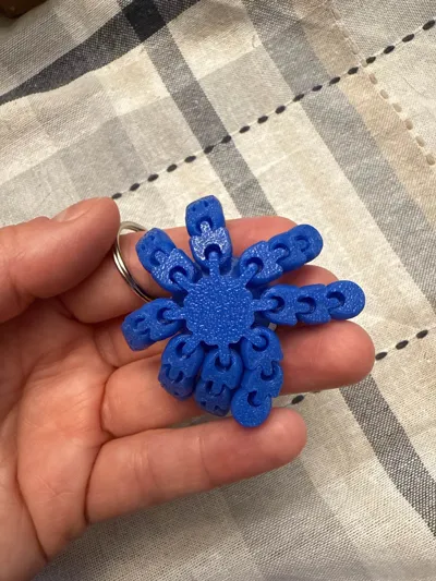 https://makerworld.bblmw.com/makerworld/model/1029890/1026524/ratings/6f772290-9728-11f0-a510-3f090308b843.jpg