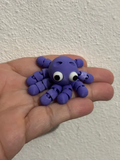 https://makerworld.bblmw.com/makerworld/model/1029890/1026524/ratings/f45ecde0-b088-11f0-93d9-0f6f67db6482.jpg