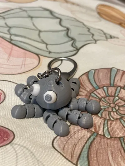 https://makerworld.bblmw.com/makerworld/model/1029890/1031711/ratings/212086b0-4a0f-11f0-9b4e-3bf031790de7.jpg
