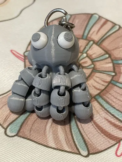 https://makerworld.bblmw.com/makerworld/model/1029890/1031711/ratings/2124f380-4a0f-11f0-9b4e-3bf031790de7.jpg
