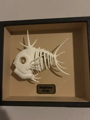https://makerworld.bblmw.com/makerworld/model/1030232/1012918/ratings/17673520-f8ba-11ef-a578-3fdd6c0efa1f.jpg