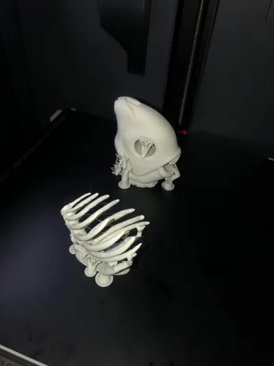 https://makerworld.bblmw.com/makerworld/model/1030232/1012918/ratings/c5f3a740-33a7-11f0-89f4-e367e731bfa6.jpg