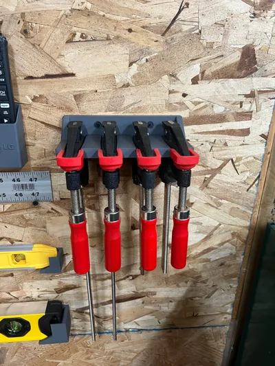 https://makerworld.bblmw.com/makerworld/model/1030724/1013500/ratings/41906830-15a7-11f0-92df-81286d318368.jpg