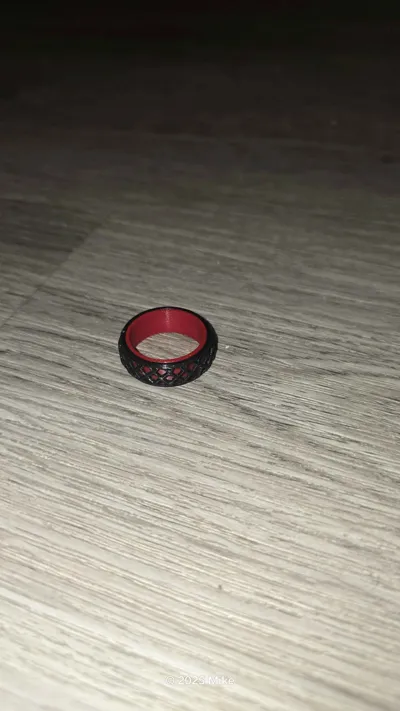https://makerworld.bblmw.com/makerworld/model/1031049/1013865/ratings/14c66360-efcf-11f0-b809-cd59b0d59aeb.jpg