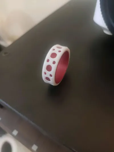 https://makerworld.bblmw.com/makerworld/model/1031049/1013896/ratings/421dc210-dace-11f0-971f-4d6aab335163.jpg