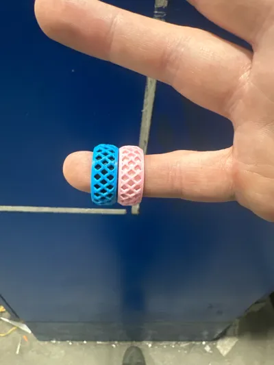 https://makerworld.bblmw.com/makerworld/model/1031049/1013906/ratings/190dec30-c12c-11f0-af35-4d6b9e7fa4a5.jpg