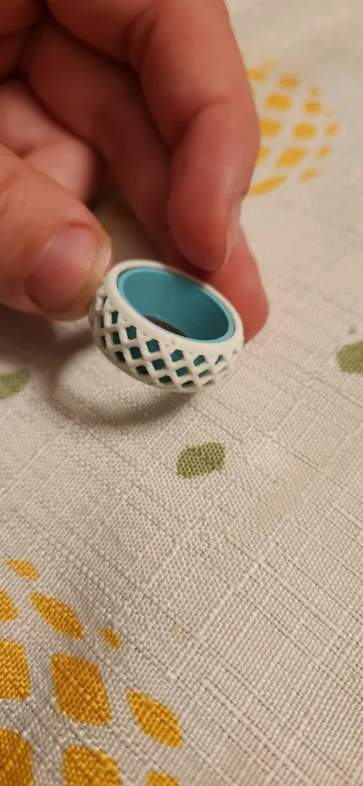 https://makerworld.bblmw.com/makerworld/model/1031049/1013906/ratings/28144220-bf5f-11f0-95c8-55d5223f08be.jpg