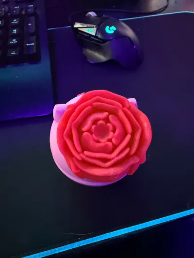 https://makerworld.bblmw.com/makerworld/model/1031797/1014746/ratings/834d7f21-2726-11f0-8690-1b80537473ba.jpg