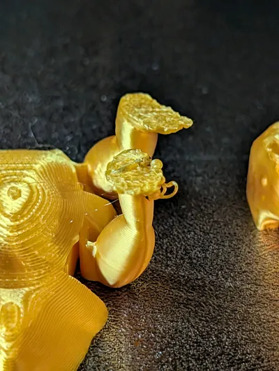 https://makerworld.bblmw.com/makerworld/model/1031969/1014949/ratings/1459b810-1487-11f0-9ccb-7f14d4659ca2.jpg