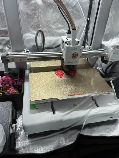 https://makerworld.bblmw.com/makerworld/model/1031969/1014949/ratings/727043a0-11b8-11f0-99ee-43afe83bc012.jpg