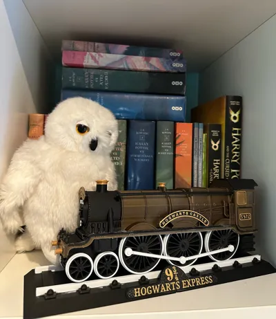 https://makerworld.bblmw.com/makerworld/model/1032182/1015260/ratings/374271a0-5feb-11f0-b3f8-e1b0b03ba091.jpg
