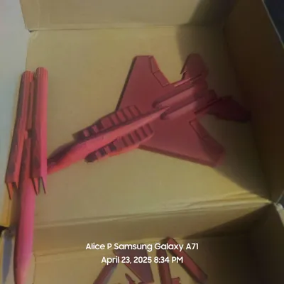 https://makerworld.bblmw.com/makerworld/model/1032328/1015440/ratings/6e863560-20a4-11f0-996f-95e874c6073e.jpg