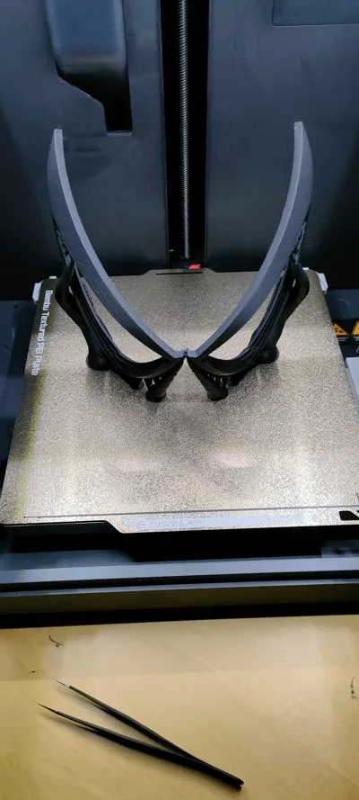 https://makerworld.bblmw.com/makerworld/model/1032336/1015451/ratings/bd964ee0-225e-11f0-ad8c-8f540301518a.jpg