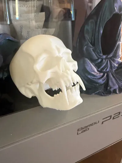 https://makerworld.bblmw.com/makerworld/model/1032535/1015677/ratings/15d3c4b0-d926-11f0-96d4-c11f2c75b46b.jpg