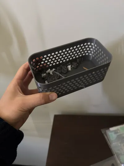 https://makerworld.bblmw.com/makerworld/model/103266/110621/ratings/40c49310-5c7c-11f0-9674-87fc1dd1af20.jpg