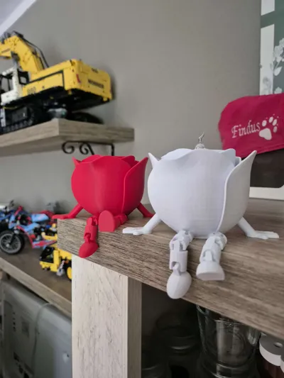 https://makerworld.bblmw.com/makerworld/model/1033101/1016327/ratings/efbdfa80-67d7-11f0-adbd-b9d6cc70d87a.jpg