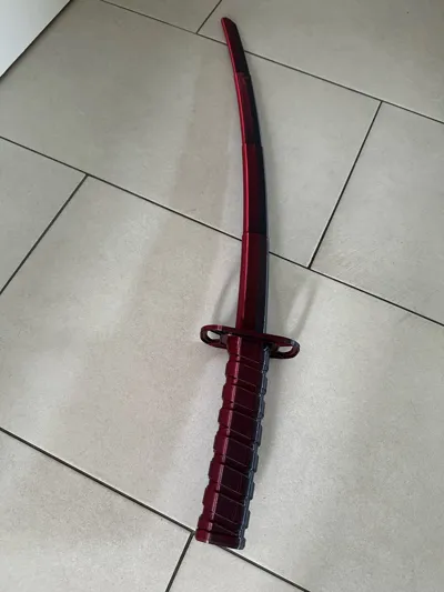https://makerworld.bblmw.com/makerworld/model/1033319/1016609/ratings/5cf9c250-68a5-11f0-a743-d5dd54f953d2.jpg