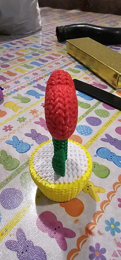 https://makerworld.bblmw.com/makerworld/model/1033958/1017397/ratings/2a01ee60-32e3-11f0-b247-7104451c7ebb.jpg