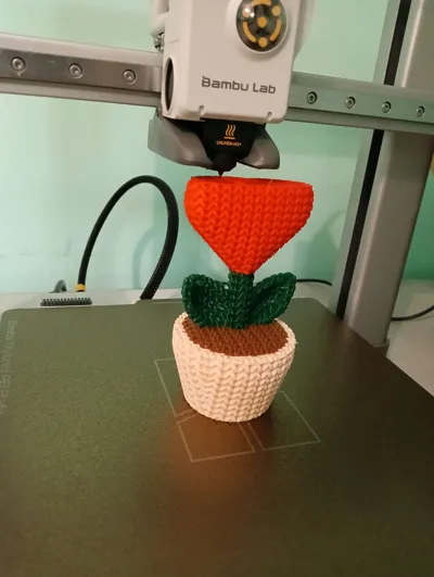 https://makerworld.bblmw.com/makerworld/model/1033958/1017397/ratings/829060e0-b0b3-11f0-a1cb-f37f124a1d47.jpg