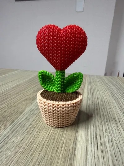 https://makerworld.bblmw.com/makerworld/model/1033958/1017397/ratings/868eb2f0-e05b-11f0-ba3b-d138b9a76c80.jpg