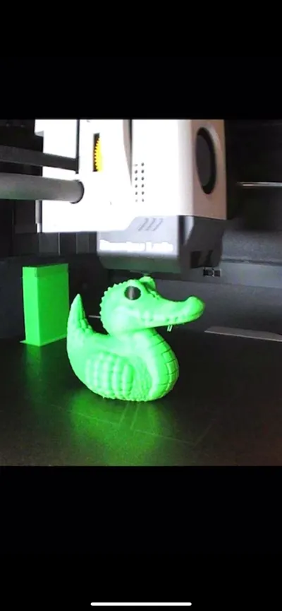 https://makerworld.bblmw.com/makerworld/model/1034294/1017757/ratings/47a2a040-5c73-11f0-8a25-c3eee9643113.jpg