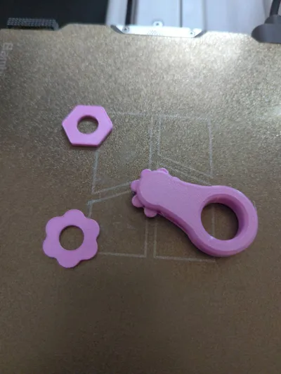 https://makerworld.bblmw.com/makerworld/model/1034511/1017994/ratings/57e28a10-3f3b-11f0-aa3f-59c82a797769.jpg