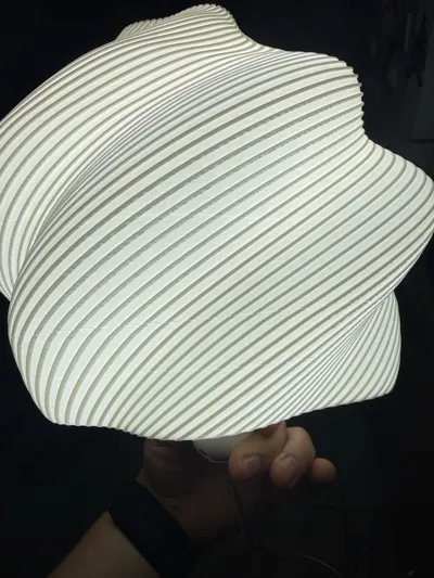 https://makerworld.bblmw.com/makerworld/model/1034574/1018062/ratings/676c1510-c9dc-11f0-9341-0d48cf3f820a.jpg