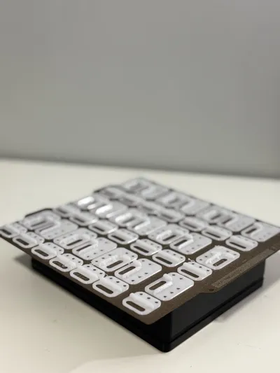 https://makerworld.bblmw.com/makerworld/model/1035015/1018593/ratings/aa36b200-6c9a-11f0-8706-f9561c1003be.jpg