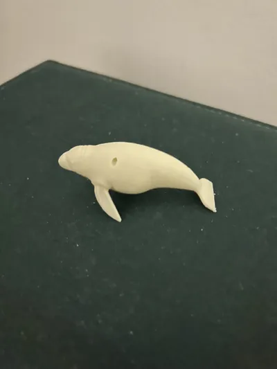 https://makerworld.bblmw.com/makerworld/model/1035185/1018813/ratings/9dc92610-fafd-11ef-b21c-f3759dbb9d2c.jpg