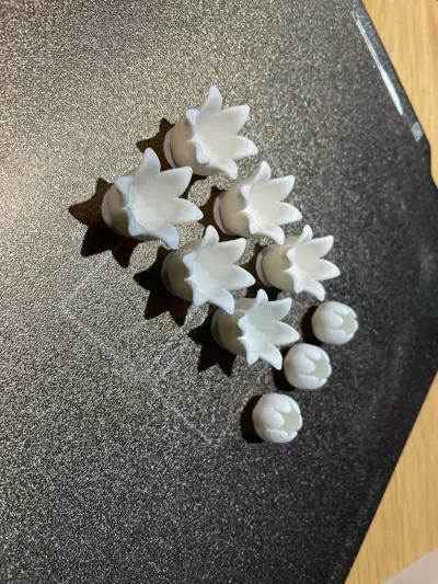 https://makerworld.bblmw.com/makerworld/model/1035195/1018825/ratings/89c20350-6f22-11f0-b706-7f02939533a7.jpg
