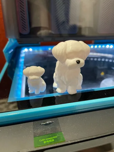 https://makerworld.bblmw.com/makerworld/model/1035587/1406725/ratings/8a54e490-8c5a-11f0-a6fa-69870008703f.jpg