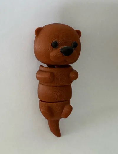 https://makerworld.bblmw.com/makerworld/model/1037061/1030313/ratings/2ac20af0-7169-11f0-931b-d35763d64950.jpg