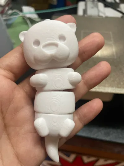 https://makerworld.bblmw.com/makerworld/model/1037061/1030909/ratings/bb067450-9e75-11f0-94ec-b32e8c3d7acf.jpg