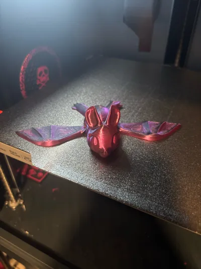https://makerworld.bblmw.com/makerworld/model/1039031/1023478/ratings/e60aa200-2e60-11f0-aff8-c74949cfd944.jpg