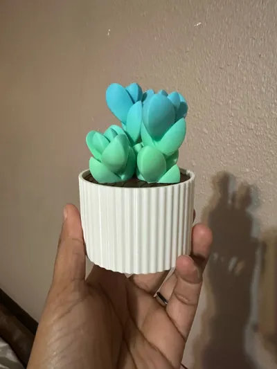https://makerworld.bblmw.com/makerworld/model/1039382/1023876/ratings/1904a2b0-e6a2-11f0-80d1-cd0fd1a9f2ec.jpg