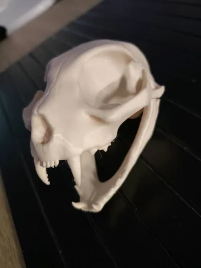 https://makerworld.bblmw.com/makerworld/model/1041543/1026567/ratings/c251bdc0-9af4-11f0-b20c-bb608f4a8ff8.jpg