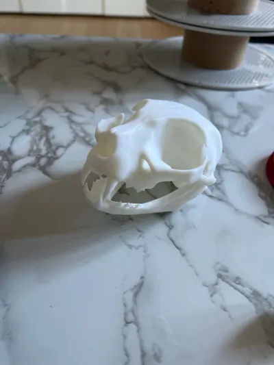 https://makerworld.bblmw.com/makerworld/model/1041543/1026567/ratings/c7c672c0-d7fb-11f0-b575-714918cc30a5.jpg