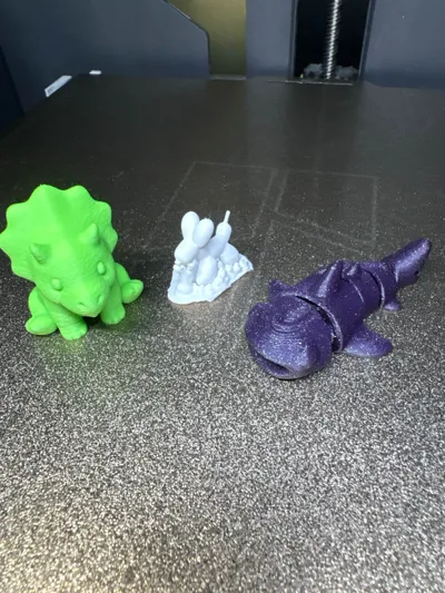 https://makerworld.bblmw.com/makerworld/model/1041731/1033507/ratings/0b9c3770-5c58-11f0-a2a6-41a9204faf0a.jpg