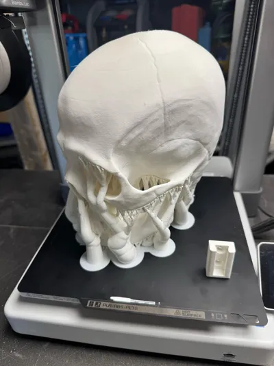 https://makerworld.bblmw.com/makerworld/model/1041755/1026794/ratings/20e76990-7857-11f0-9657-eb1220b4d855.jpg