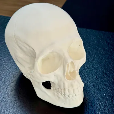 https://makerworld.bblmw.com/makerworld/model/1041755/1026794/ratings/20ea4fc0-7857-11f0-9657-eb1220b4d855.jpg