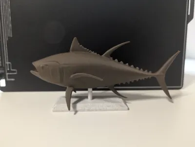 https://makerworld.bblmw.com/makerworld/model/1043074/1028294/ratings/7e05d3b0-fbdd-11ef-8d46-49c5ecb97ca5.jpg