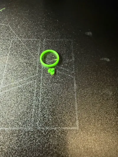 https://makerworld.bblmw.com/makerworld/model/1043758/1029089/ratings/0930d3d0-7943-11f0-a759-719f59a164df.jpg