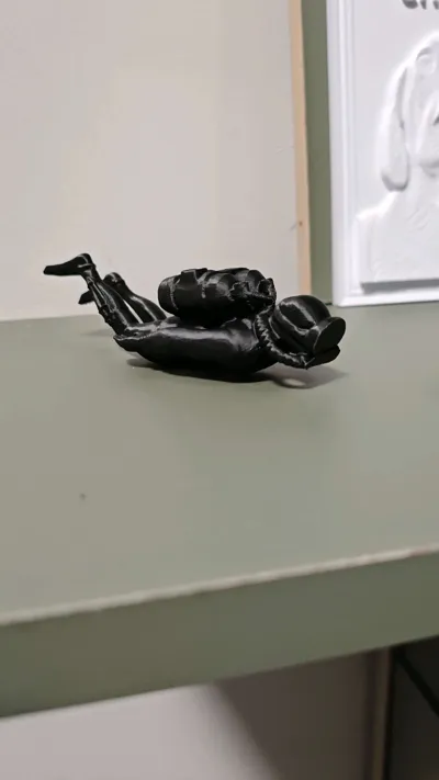 https://makerworld.bblmw.com/makerworld/model/1044007/1034088/ratings/99c85990-c7a9-11f0-8c55-13c2ec3e0d9a.jpg