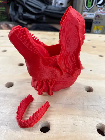 https://makerworld.bblmw.com/makerworld/model/1044748/1030328/ratings/23429890-6cdb-11f0-b357-2d890eae52b2.jpg