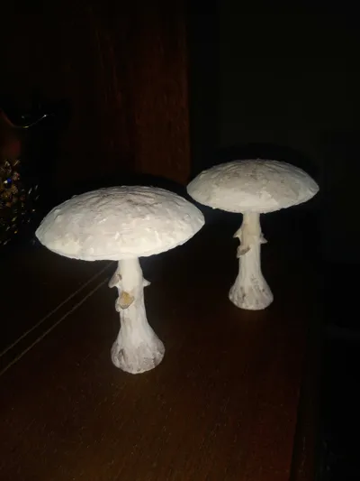 https://makerworld.bblmw.com/makerworld/model/1047095/1033089/ratings/3da636d0-4277-11f0-81de-9f3ecb9e1770.jpg