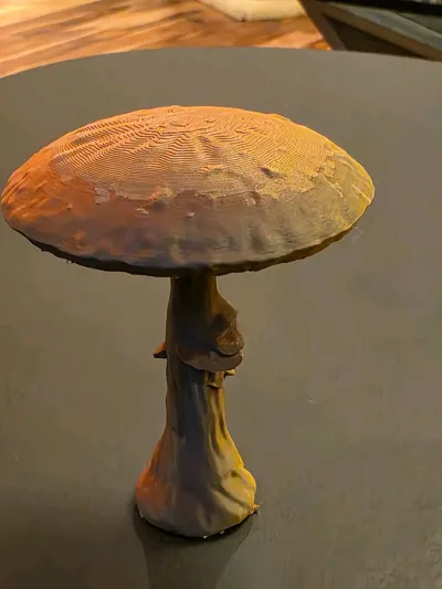 https://makerworld.bblmw.com/makerworld/model/1047095/1033089/ratings/aa1767a0-53d7-11f0-a1b2-f59cc7bce0e5.jpg