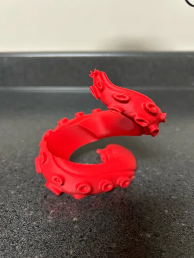 https://makerworld.bblmw.com/makerworld/model/1048144/1034364/ratings/1aa98fe0-68fd-11f0-9f85-3be138d35ae1.jpg