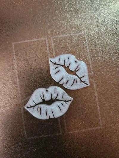 https://makerworld.bblmw.com/makerworld/model/1048589/1034866/ratings/359fdd20-32a4-11f0-af22-4b19b67e3a60.jpg