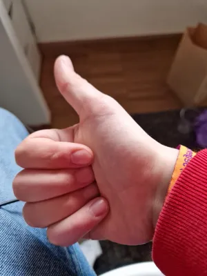 https://makerworld.bblmw.com/makerworld/model/1049666/1036194/ratings/238637a0-08ca-11f0-94ad-1950a0f09630.jpg
